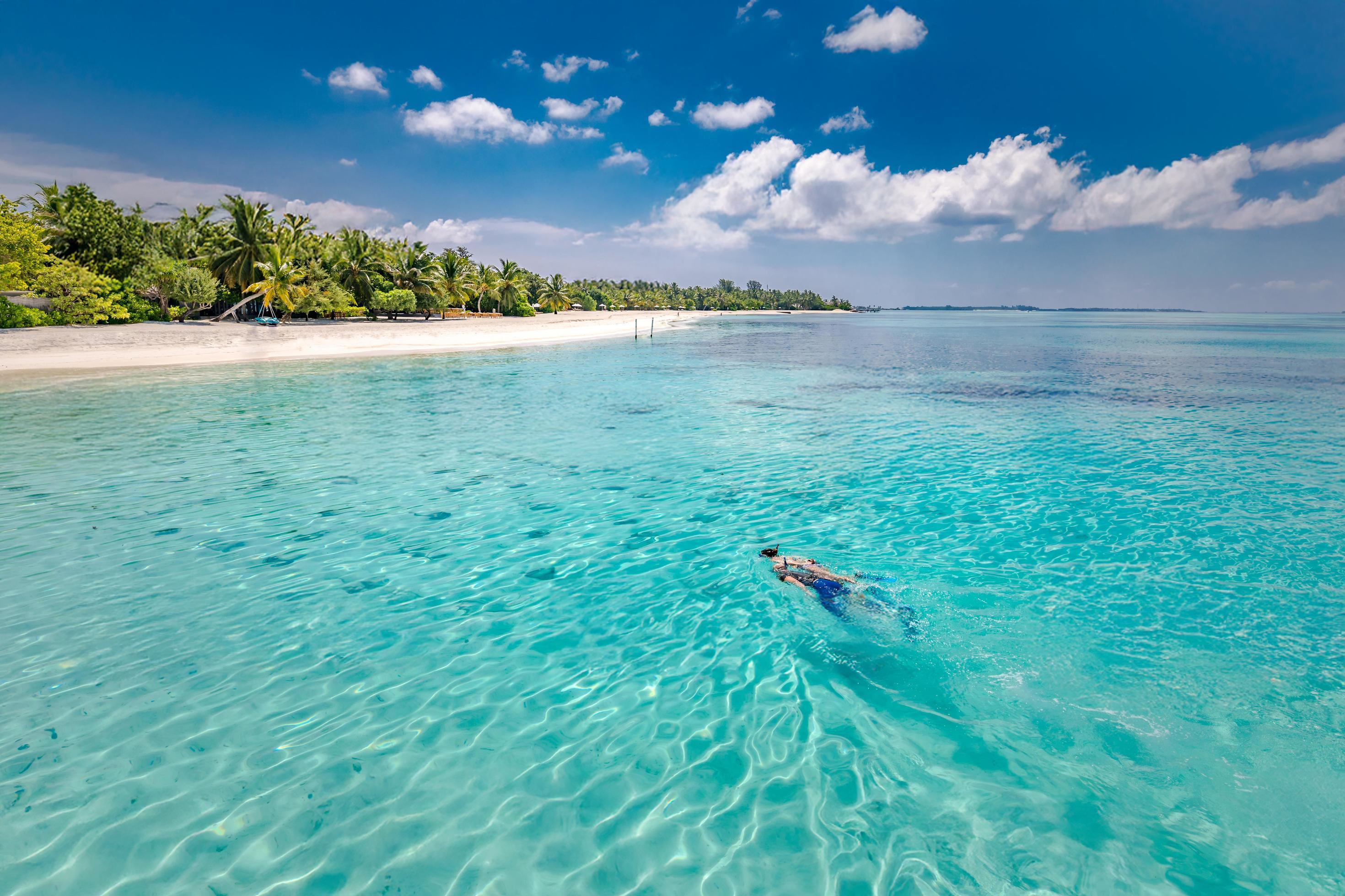 Person swimming in clear turquoise water near a tropical beach with palm trees and blue sky.