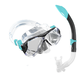 Combo Turtle Black Turquoise